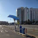 들메 | 속초 막국수 맛집 탑골막국수 본점 바다제면 들메막과 수육 후기