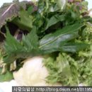 네모푸드 Daum카페