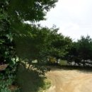 부림낚시터(부림저수지) 이미지