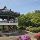 대한민국 상이군경회 안보 전적지 순례행사 150명 버스4대 이미지