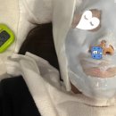 봄피부과의원 이미지