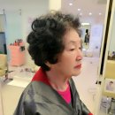 귀부인미용실 - 김제시 | 귀부인미용실