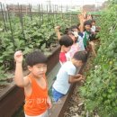 시립세곡어린이집 이미지