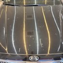 송진포항 이미지