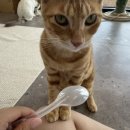 그루밍라운지 이미지