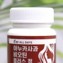 은제컴퍼니 네이버블로그