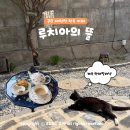 충남아이키움뜰 | 충남 공주 제민천 카페 추천 루치아의 뜰 공주 시내 현지인 밀크티 맛집