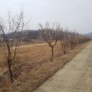 이천정비 이미지
