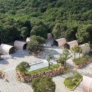 늘푸른 관광농원 이미지