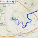 지도 왕벚나무길 이미지