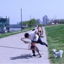 방배한강동물병원 이미지