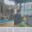 우리밥상 Daum카페