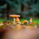 여의도한의원 이미지