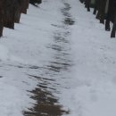 정원김치 이미지