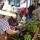 금수농장 이미지