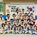 용인대 한울 태권도장 이미지