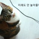 놀아줘 - 영등포구 선유동1로 6-7 | 놀아줘