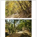 여주-0368 | 보도자료