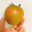 두배로농장 이미지