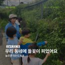 우리동네작은도서관 | 늘푸른작은도서관 우리 동네에 들꽃이 피었어요 후기