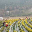 신계꽃차마을 이미지