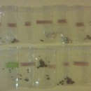 세경농장 이미지