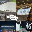 삼성네거리 | 한화vs삼성 한화생명볼파크 208구역 4열 좌석후기🦅🧡