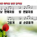 낮엔해처럼밤엔달처럼 이미지