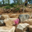 왕피천 하늘담 야영장 이미지