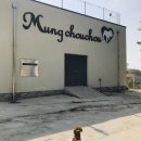멍슈슈(Mungchouchou) | [경기/하남] 별이랑 애견카페 다녀왔어요 “멍슈슈 애견카페”