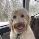 스마일푸드앤편의점 | 3박4일 마쓰야마 여행 1