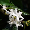 진가농장 이미지