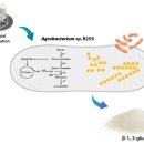 네이처런스(주) 이미지