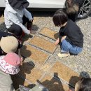 기린농장 이미지