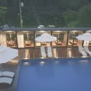 비다펠리스 이미지