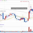 에스티네트웍스 이미지