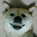 동네마트 이미지