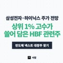 보성홀딩스 | 삼성전자 하이닉스 주가 전망, 상위 1% 고수가 쓸어 담은 HBF 관련주는?