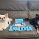 제형농장 이미지