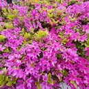 세븐일레븐(창원외동점) 이미지