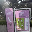 동산 | [인천 서구] SK인천석유화학 벚꽃동산🌸후기