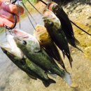 무한천어죽 이미지