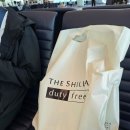 498 | 대한항공 인도 델리 KE487, KE498 탑승 후기 좌석 기내식