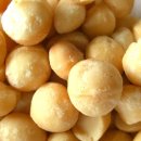 분당필동물병원 이미지