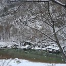 늘푸른캠프 이미지