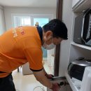 일광방역