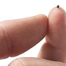 씨.씨.알(주) 이미지