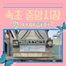 팡파미유분점 | 속초 중앙시장 먹거리 한눈에 정리!