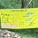 금화애견 이미지