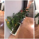 대학동-12 이미지